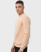 Світшот чоловічий базовий утеплений RAY BASIC бежевий (U0301M-Cream) — фото 3