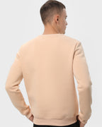Світшот чоловічий базовий утеплений RAY BASIC бежевий (U0301M-Cream) — фото 4