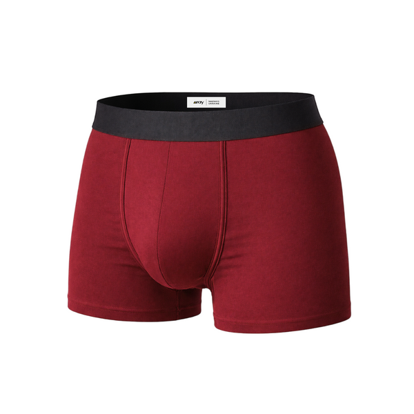 Труси боксери чоловічі RAY BASIC Бордовий (M2101-Burgundy) — фото 1